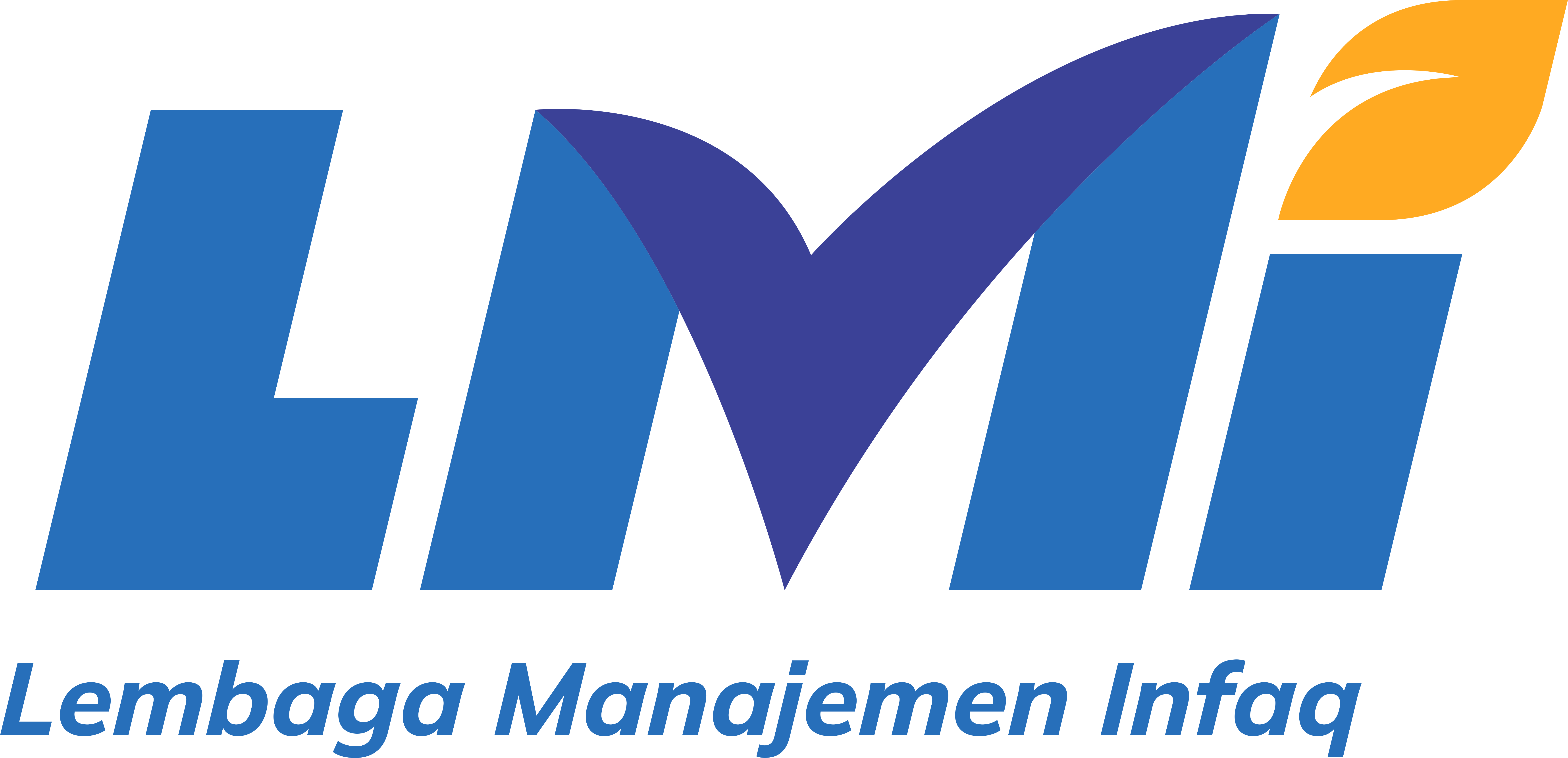 Logo LMI